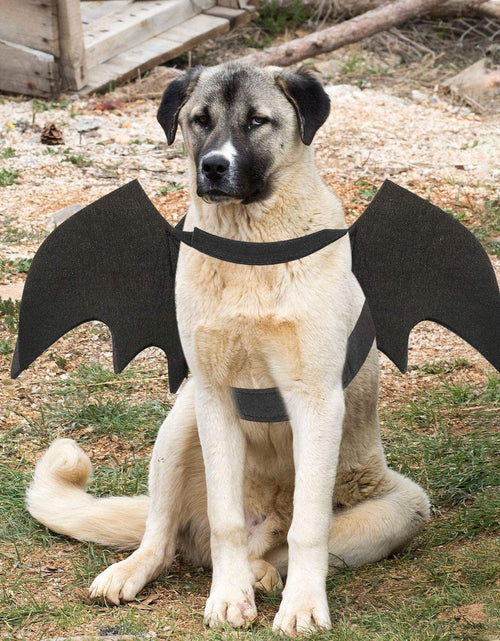 Load image into Gallery viewer, Dog Bat Costume - Halloween Pet Costume Bat Wings Cosplay Dog Costume Cat Costume for Party
