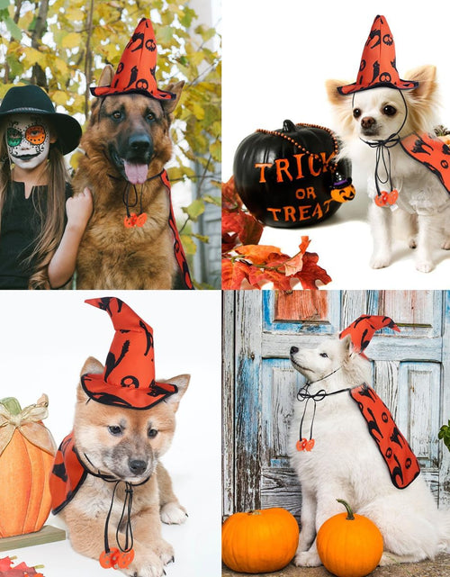 Load image into Gallery viewer, Dog Halloween Costumes - Pet Wizard Costume Cape with Witch Hat Puppy Cat Halloween Apparels Outfits
