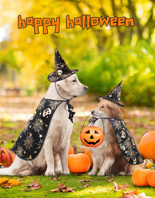 Load image into Gallery viewer, Pet Halloween Costumes Cape with Wizard Hat Dog Cat Halloween Apparels
