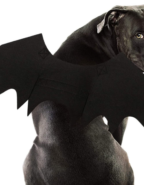 Load image into Gallery viewer, Dog Bat Costume - Halloween Pet Costume Bat Wings Cosplay Dog Costume Cat Costume for Party
