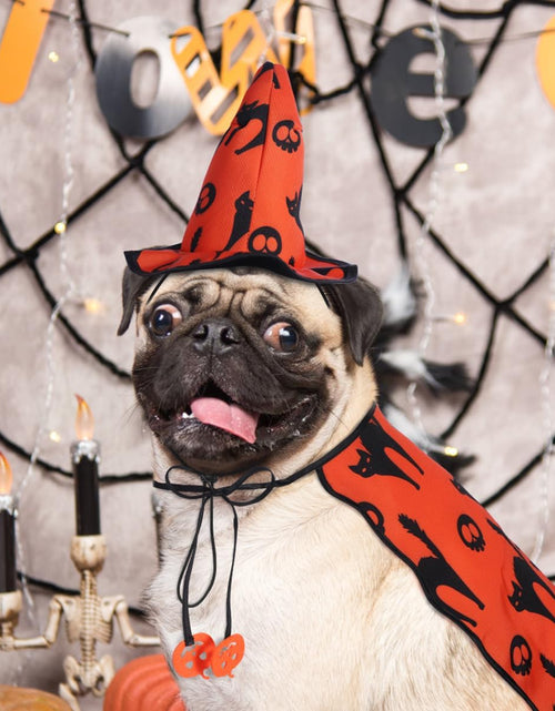 Load image into Gallery viewer, Dog Halloween Costumes - Pet Wizard Costume Cape with Witch Hat Puppy Cat Halloween Apparels Outfits
