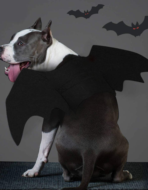 Load image into Gallery viewer, Dog Bat Costume - Halloween Pet Costume Bat Wings Cosplay Dog Costume Cat Costume for Party
