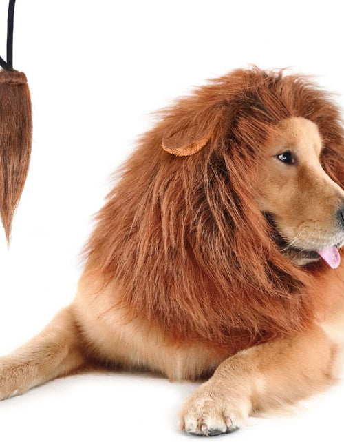 Load image into Gallery viewer, Lion Mane for Dog Costumes, Realistic Wig for Medium to Large Sized Dogs (Dark Brown)
